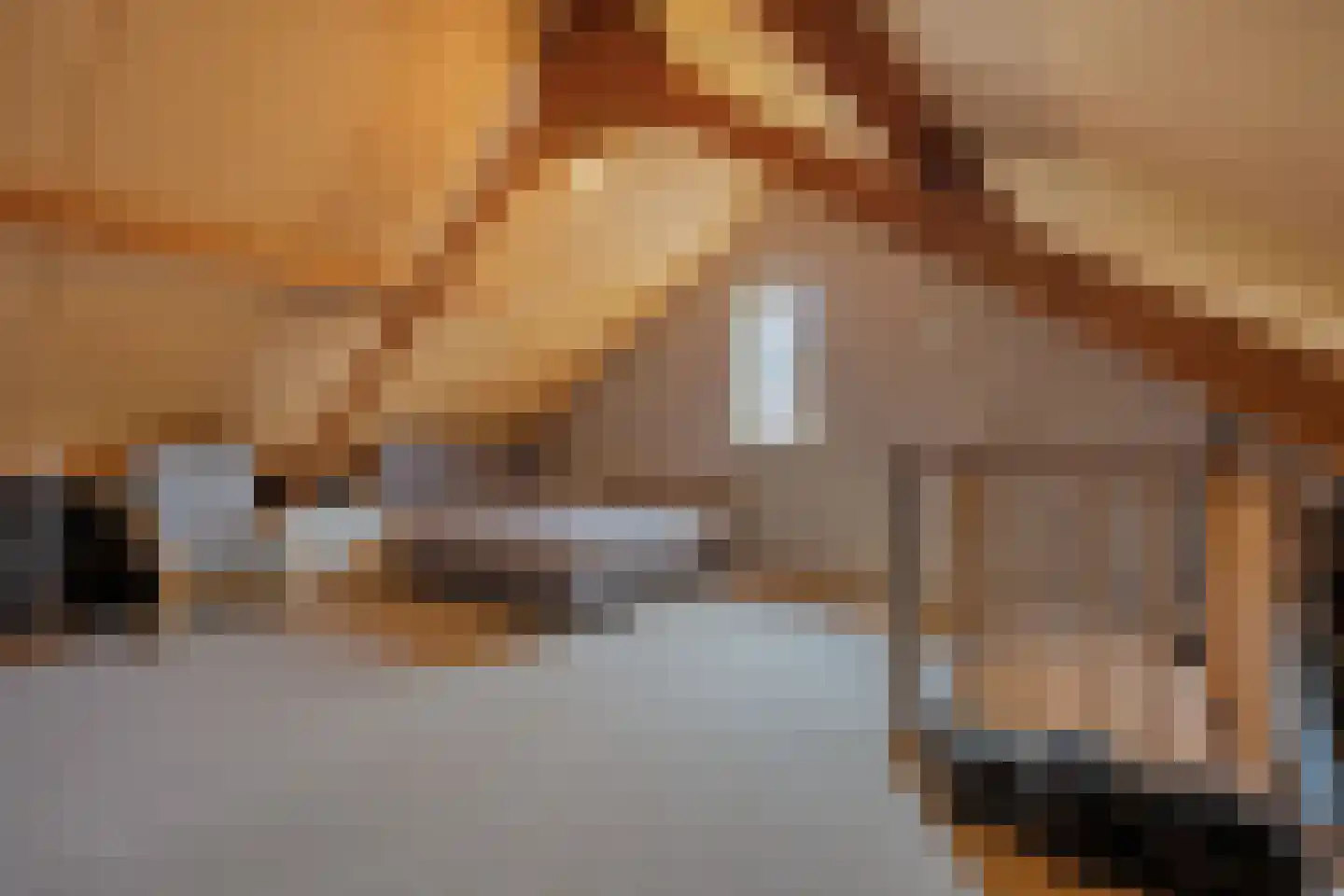 Boekweitstraat 65 Dedemsvaart thumbnail 32