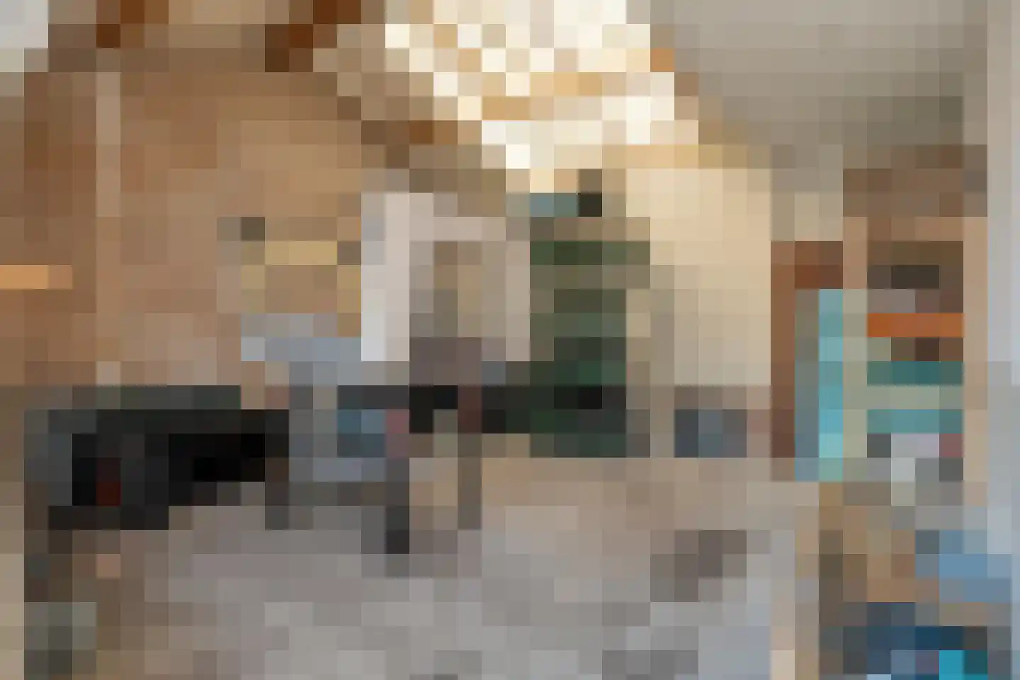 Boekweitstraat 65 Dedemsvaart thumbnail 33