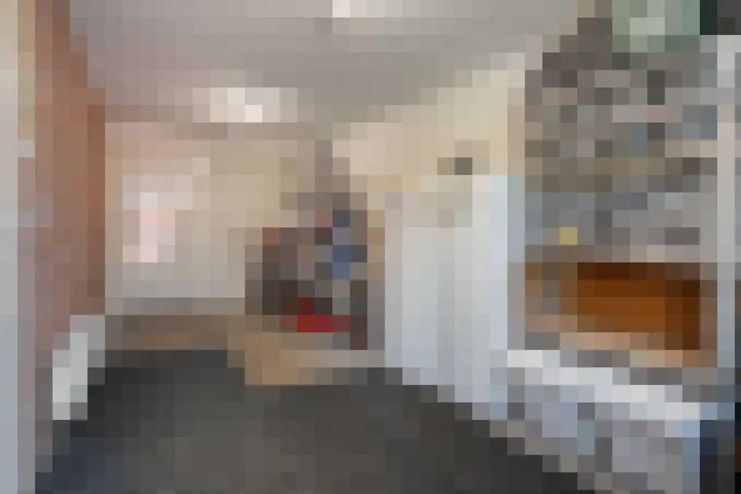 Boekweitstraat 65 Dedemsvaart thumbnail 34
