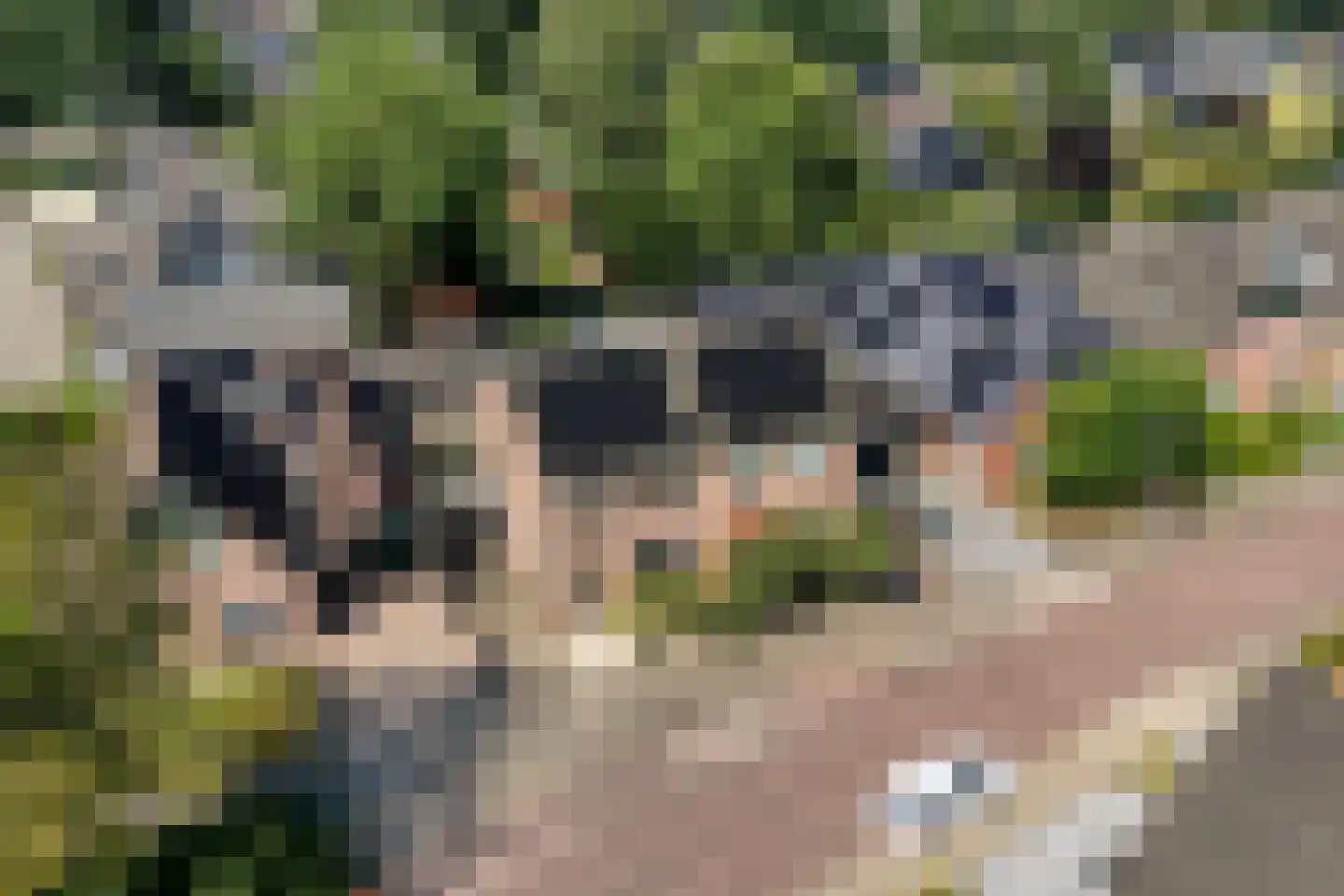 Boekweitstraat 65 Dedemsvaart thumbnail 4