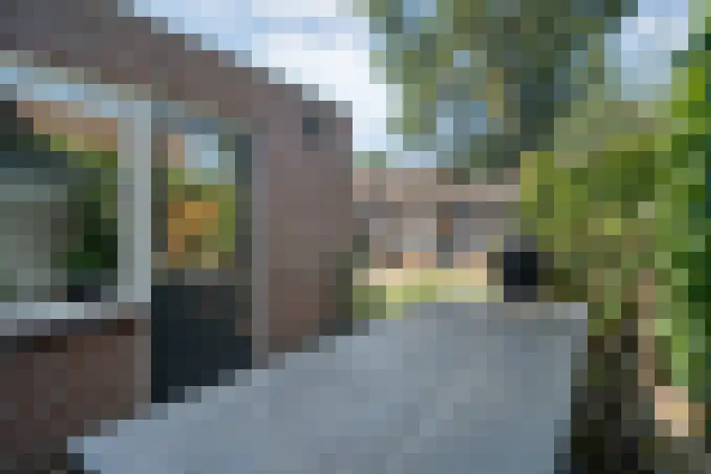 Boekweitstraat 65 Dedemsvaart thumbnail 41