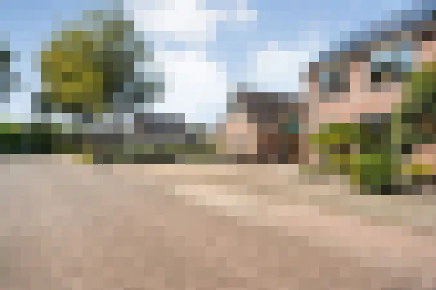 Boekweitstraat 65 Dedemsvaart thumbnail 45