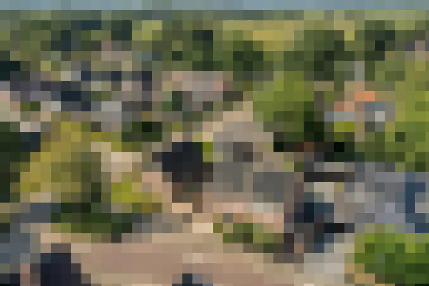 Boekweitstraat 65 Dedemsvaart thumbnail 5