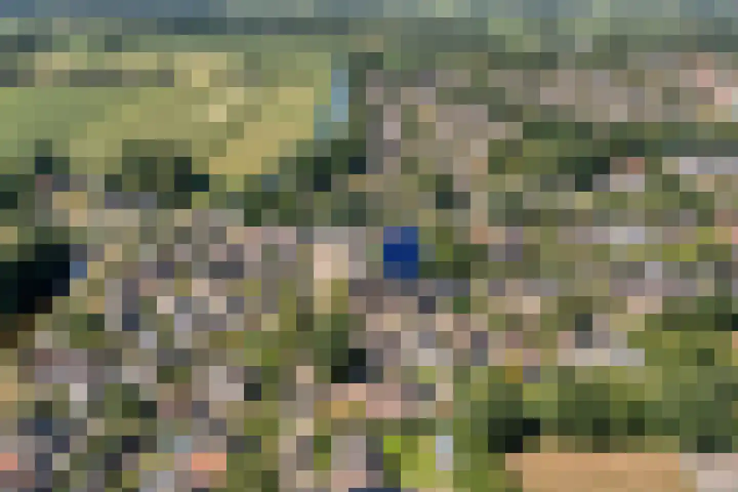 Boekweitstraat 65 Dedemsvaart thumbnail 6