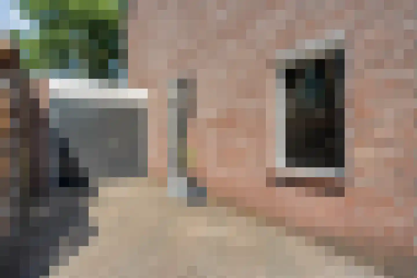 Boekweitstraat 65 Dedemsvaart thumbnail 7