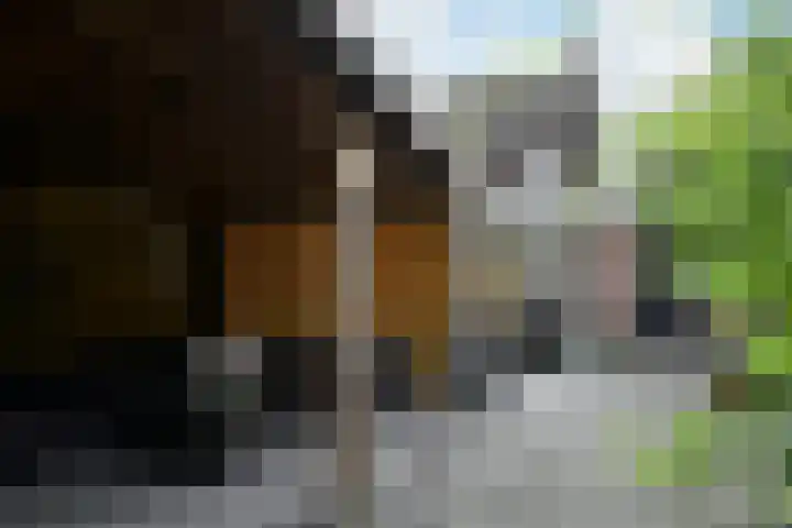 Boekweitstraat 65 Putten thumbnail 17
