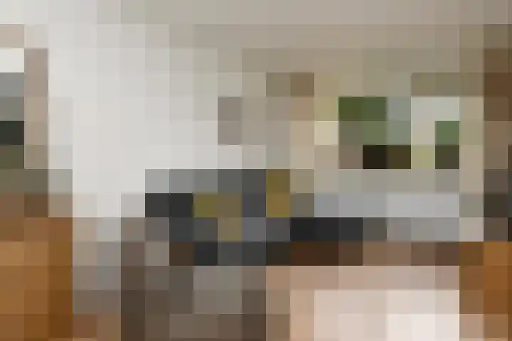 Boekweitstraat 65 Putten thumbnail 4