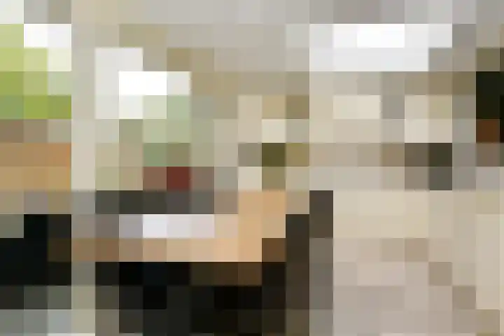 Boekweitstraat 65 Putten thumbnail 7
