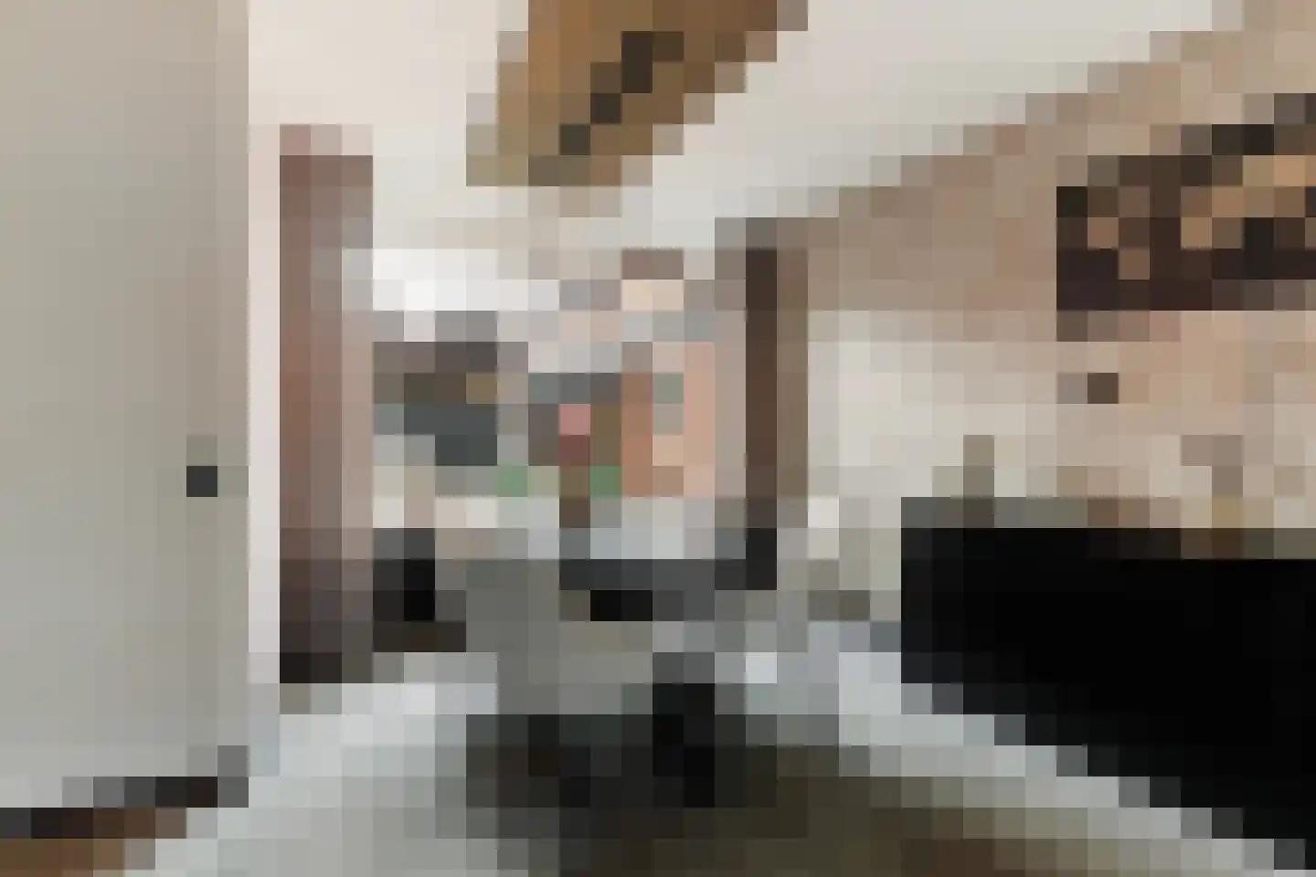 Boekweitstrjitte 58 Harkema thumbnail 10