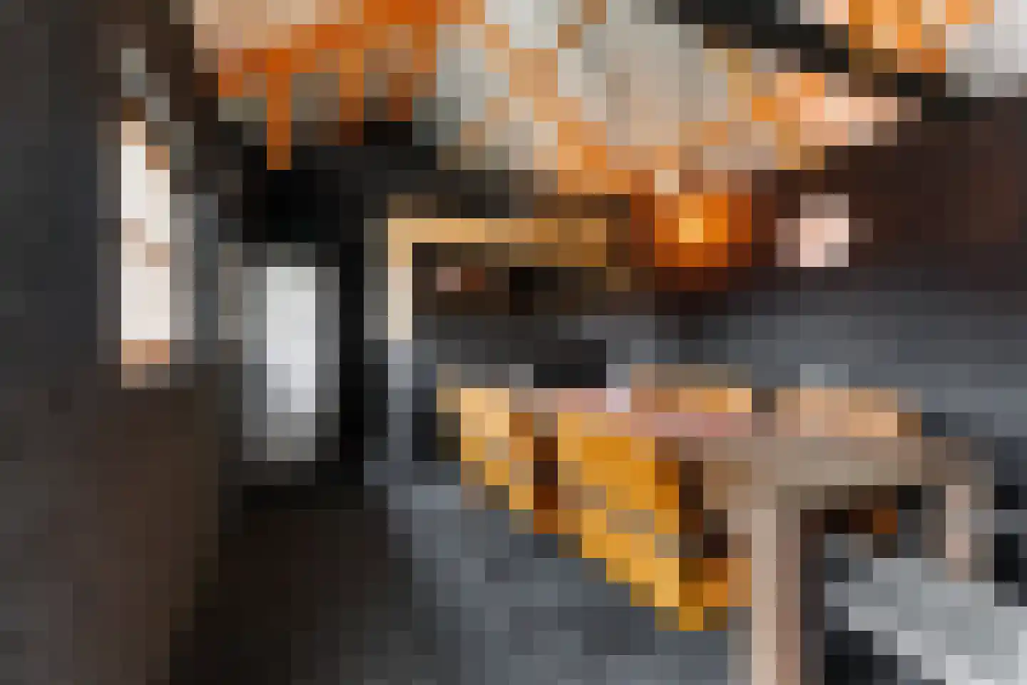 Boekweitstrjitte 58 Harkema thumbnail 18