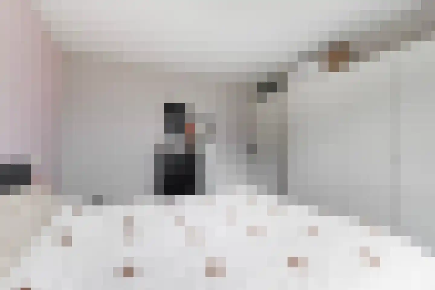 Boekweitstrjitte 58 Harkema thumbnail 22