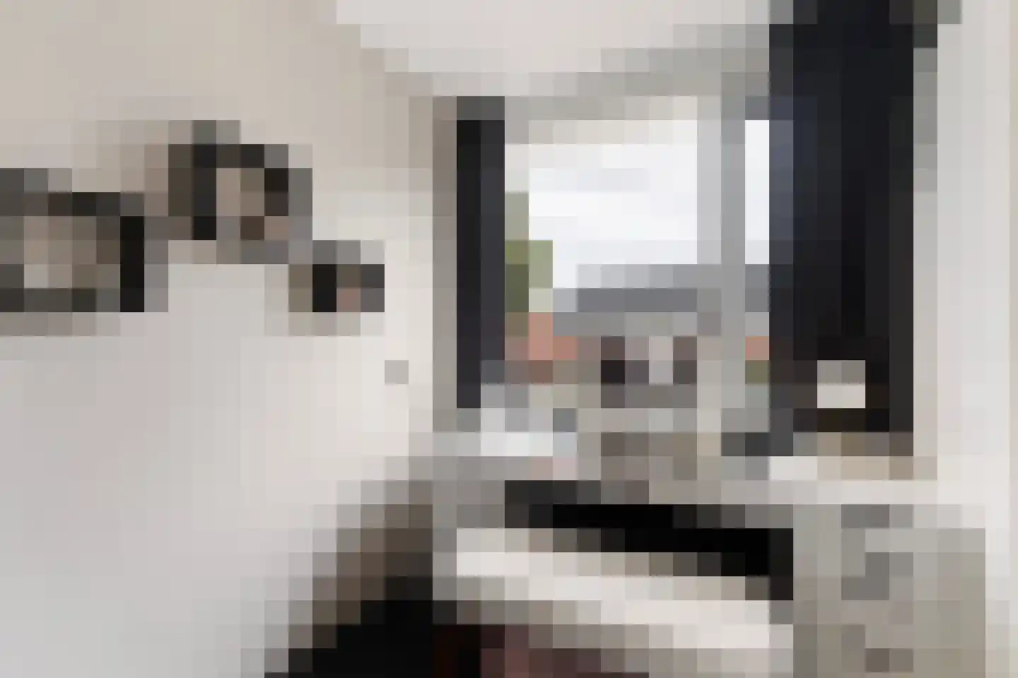 Boekweitstrjitte 58 Harkema thumbnail 23