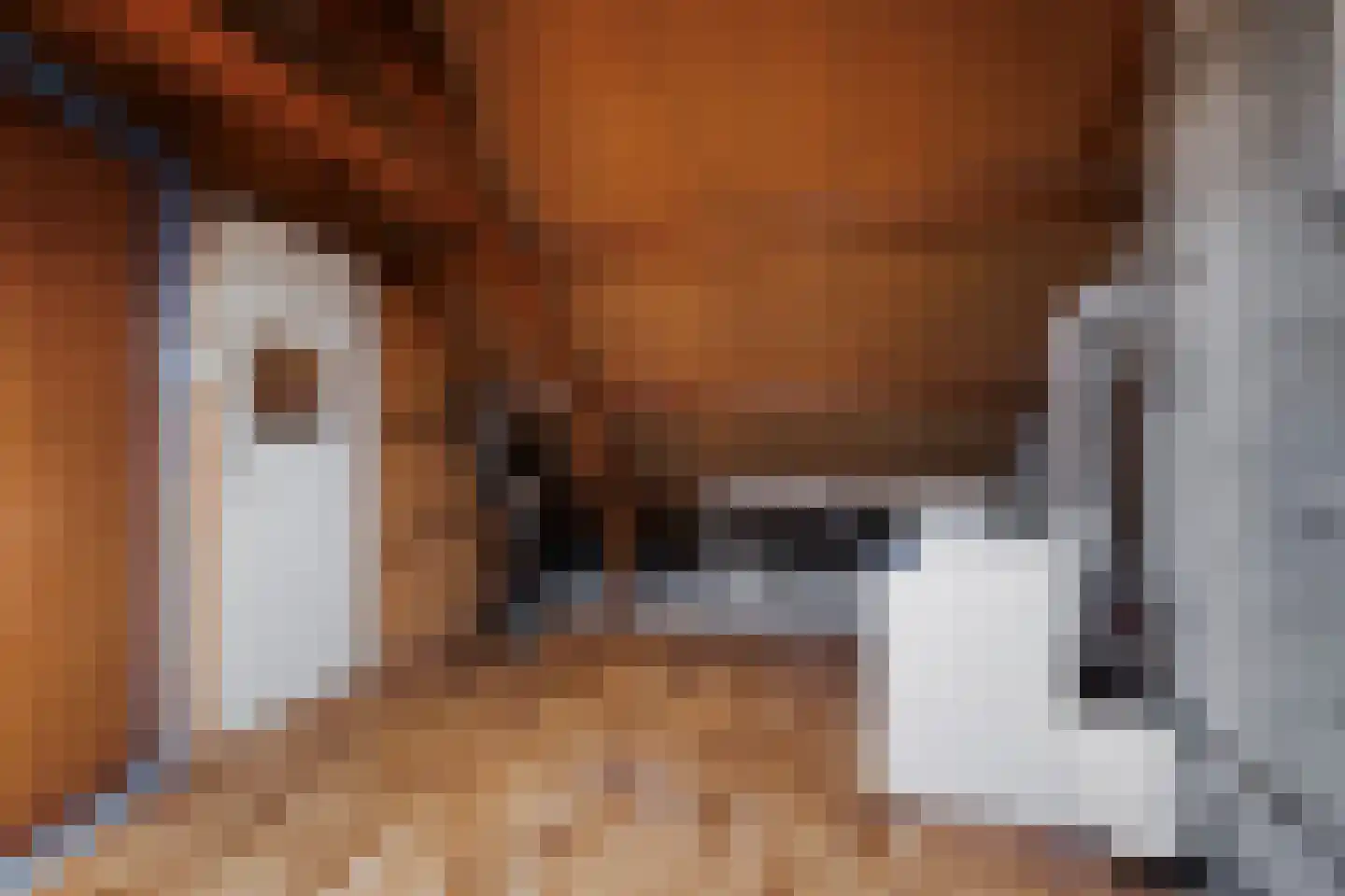 Boekweitstrjitte 58 Harkema thumbnail 33