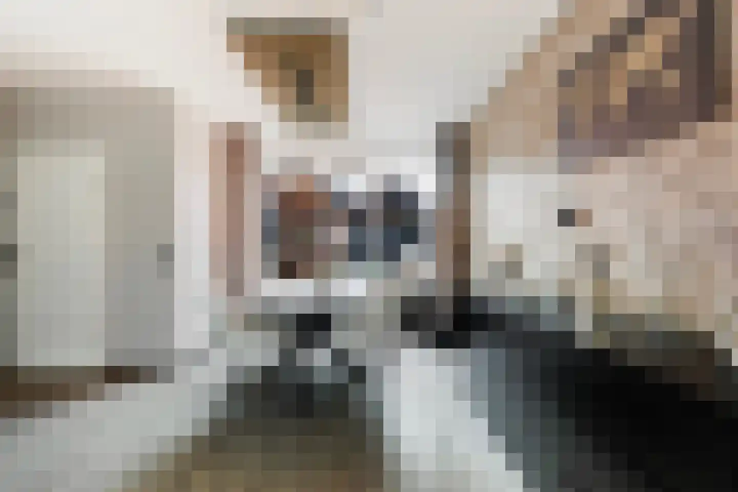 Boekweitstrjitte 58 Harkema thumbnail 9