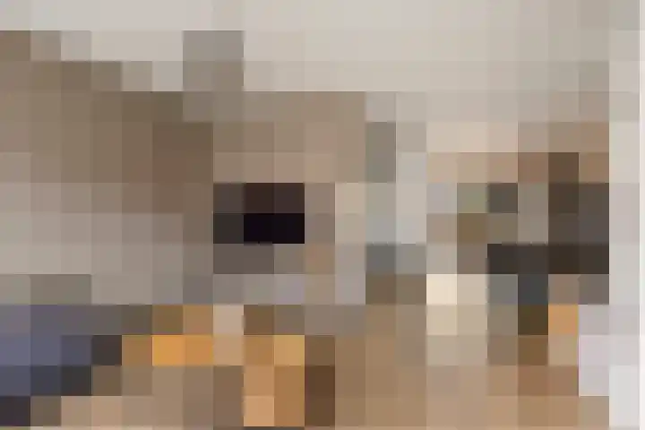 Boekweitstrjitte 60 Harkema thumbnail 11
