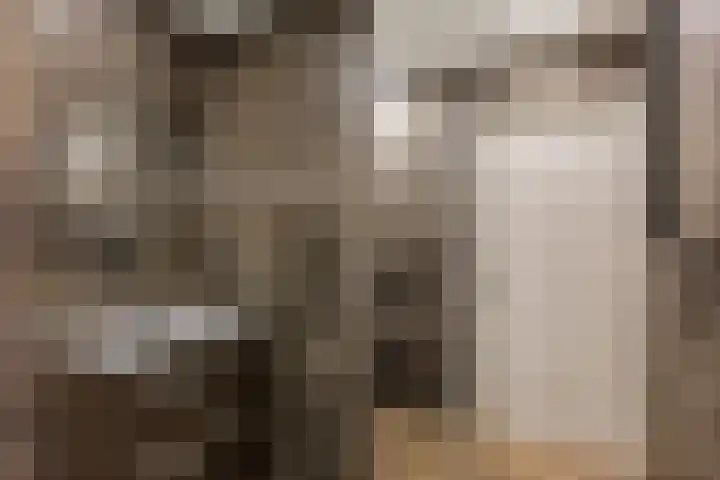 Boekweitstrjitte 60 Harkema thumbnail 20