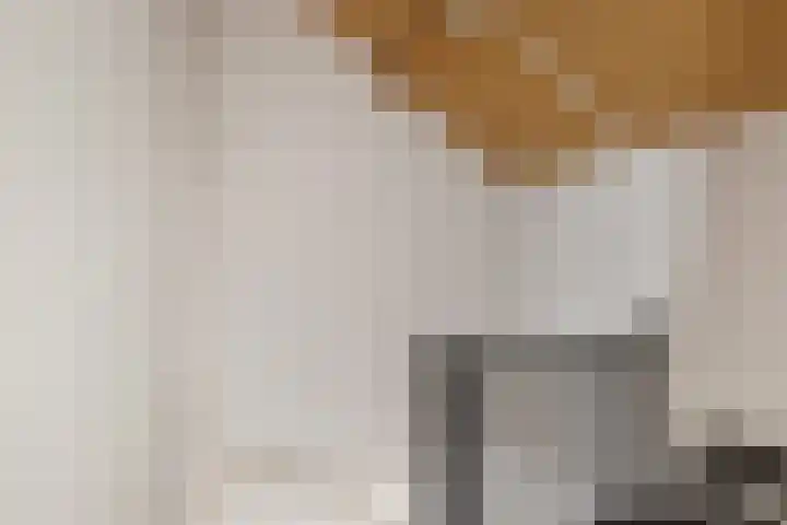 Boekweitstrjitte 60 Harkema thumbnail 28