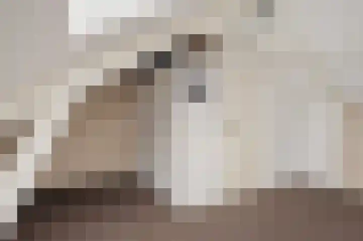 Boekweitstrjitte 60 Harkema thumbnail 29