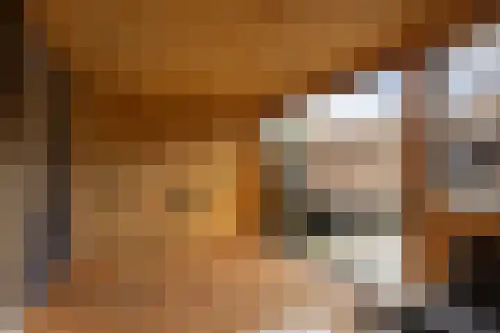 Boekweitstrjitte 60 Harkema thumbnail 32