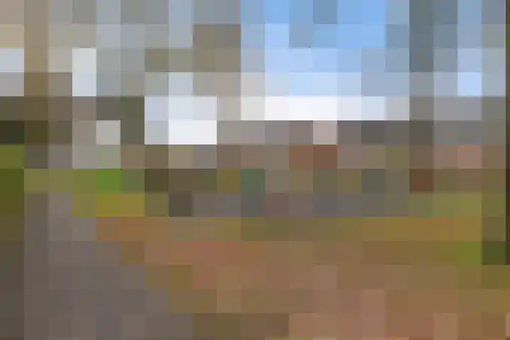 Boekweitstrjitte 60 Harkema thumbnail 38