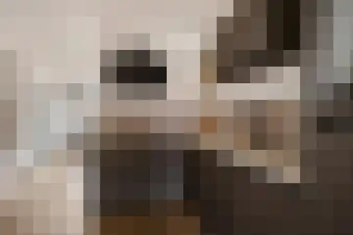 Boekweitstrjitte 60 Harkema thumbnail 4