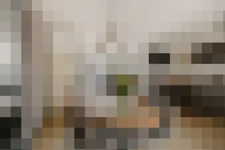 Boekweitstrjitte 60 Harkema thumbnail 6