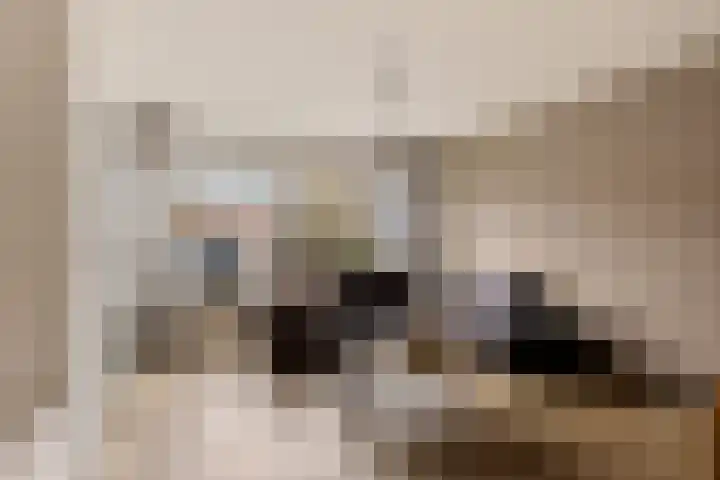 Boekweitstrjitte 60 Harkema thumbnail 8