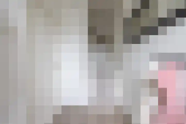 Boekweitstrjitte 64 Harkema thumbnail 15