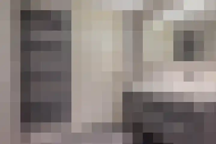 Boekweitstrjitte 64 Harkema thumbnail 25
