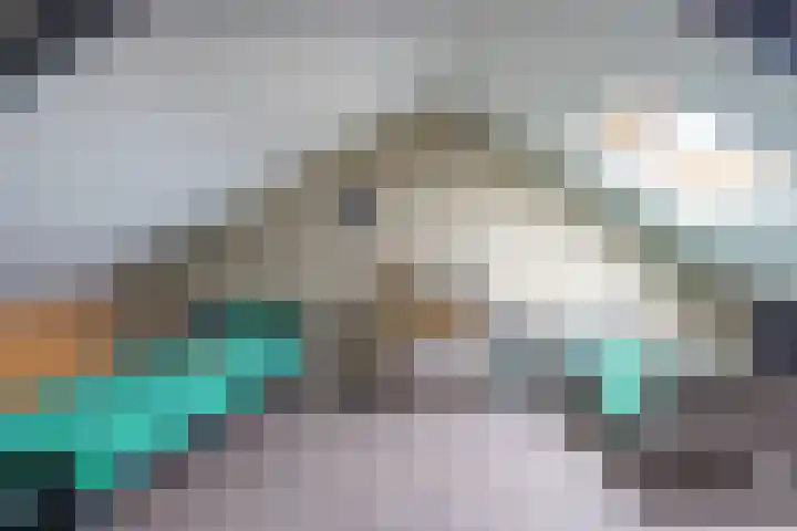 Boekweitstrjitte 64 Harkema thumbnail 26