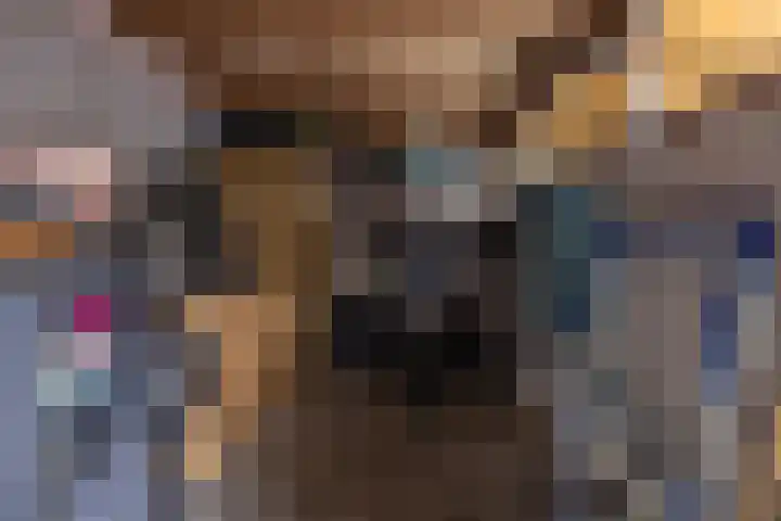 Boekweitstrjitte 64 Harkema thumbnail 36