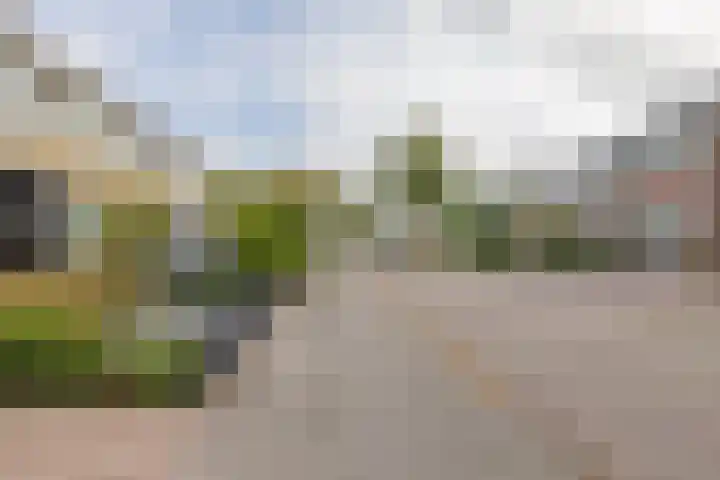 Boekweitstrjitte 64 Harkema thumbnail 38
