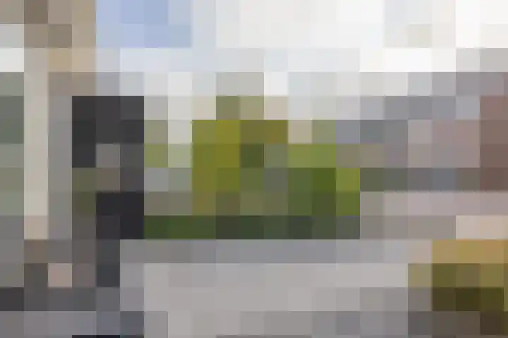 Boekweitstrjitte 64 Harkema thumbnail 42
