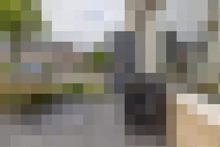 Boekweitstrjitte 64 Harkema thumbnail 43