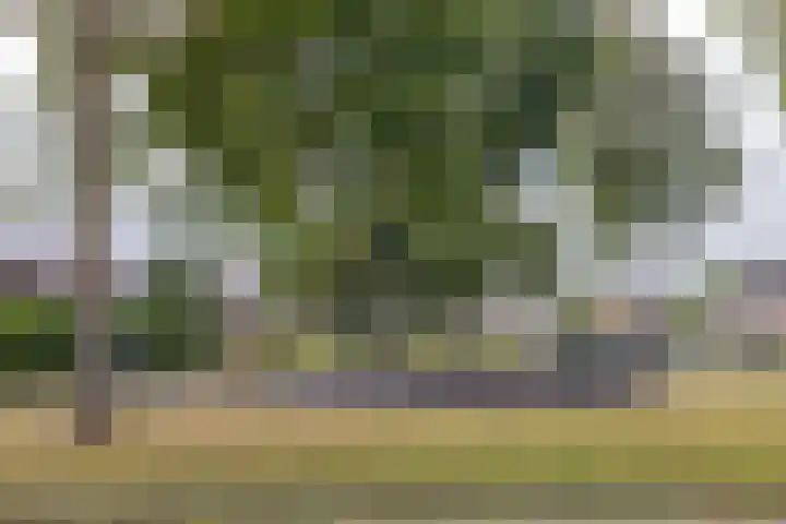 Boekweitstrjitte 64 Harkema thumbnail 44