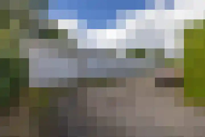 Boekweitstrjitte 64 Harkema thumbnail 45