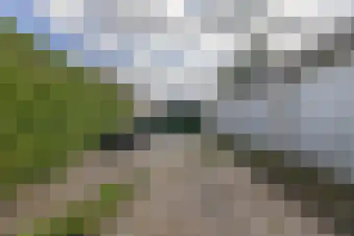 Boekweitstrjitte 64 Harkema thumbnail 46
