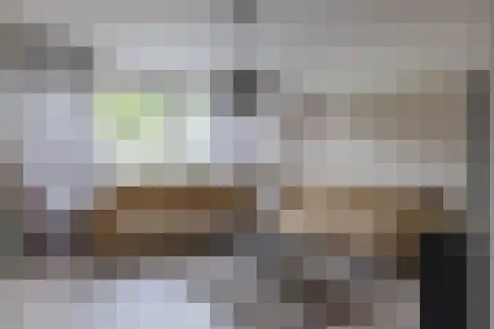 Boekweitstrjitte 64 Harkema thumbnail 7