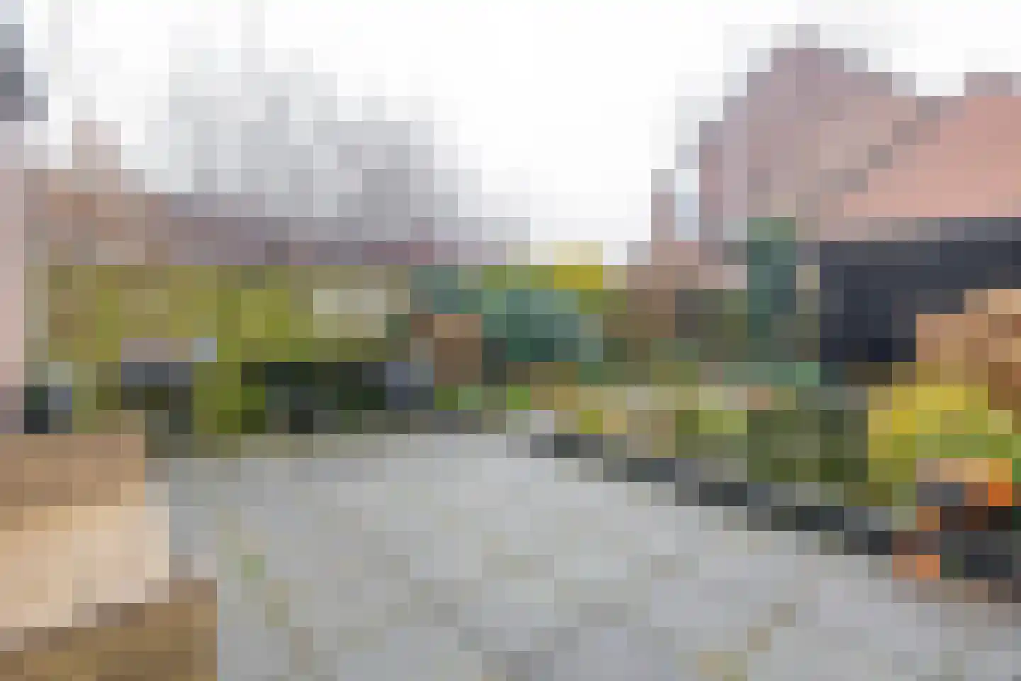 Boekweitveld 10 Assen thumbnail 30