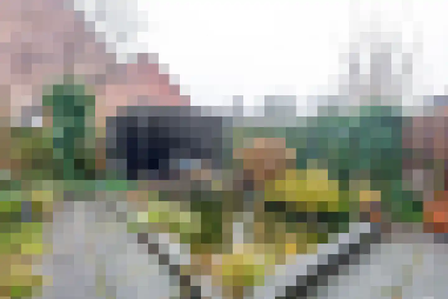 Boekweitveld 10 Assen thumbnail 31