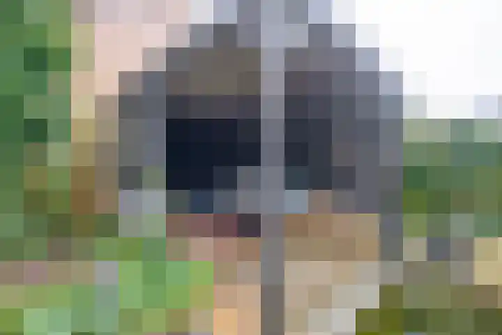 Boekweitveld 10 Assen thumbnail 31