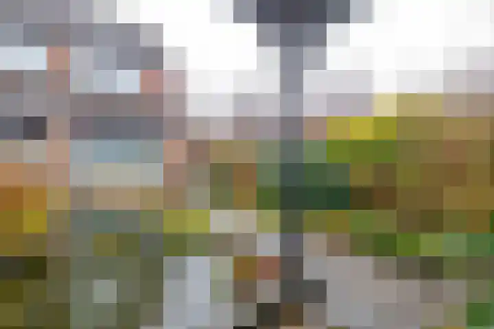 Boekweitveld 10 Assen thumbnail 32