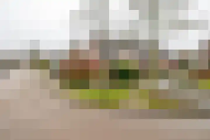 Boekweitveld 10 Assen thumbnail 33