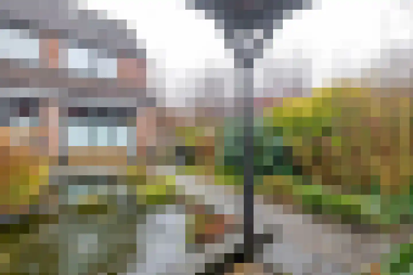 Boekweitveld 10 Assen thumbnail 33