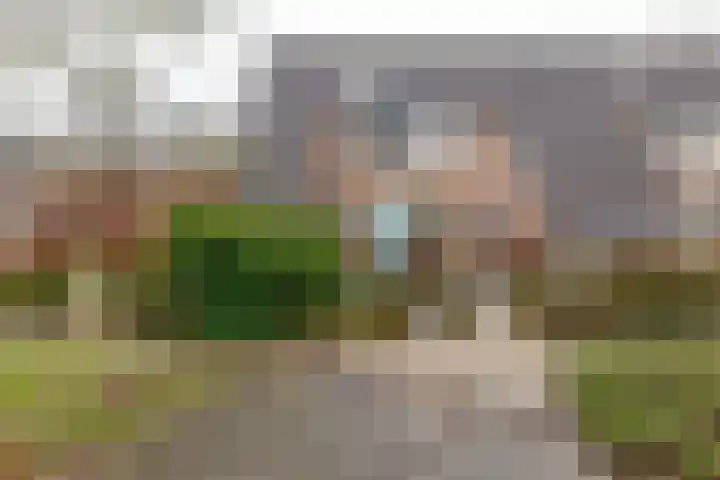 Boekweitveld 10 Assen thumbnail 34