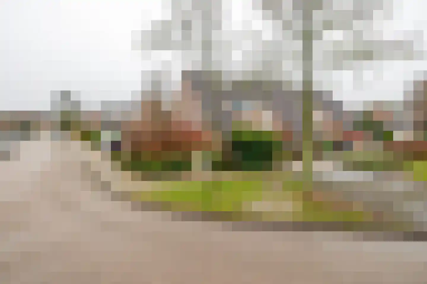 Boekweitveld 10 Assen thumbnail 34