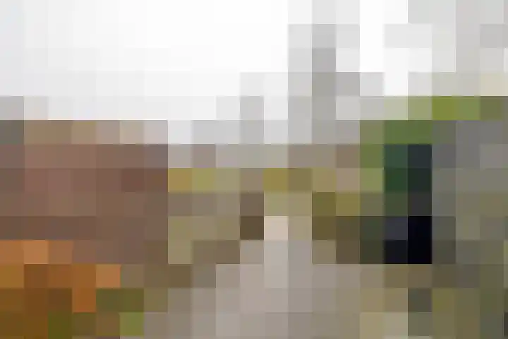 Boekweitveld 10 Assen thumbnail 35