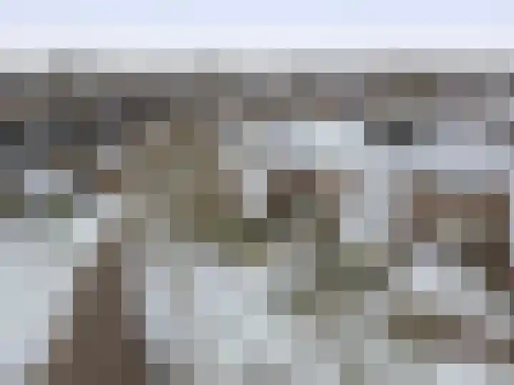 Boekweitveld 10 Assen thumbnail 37