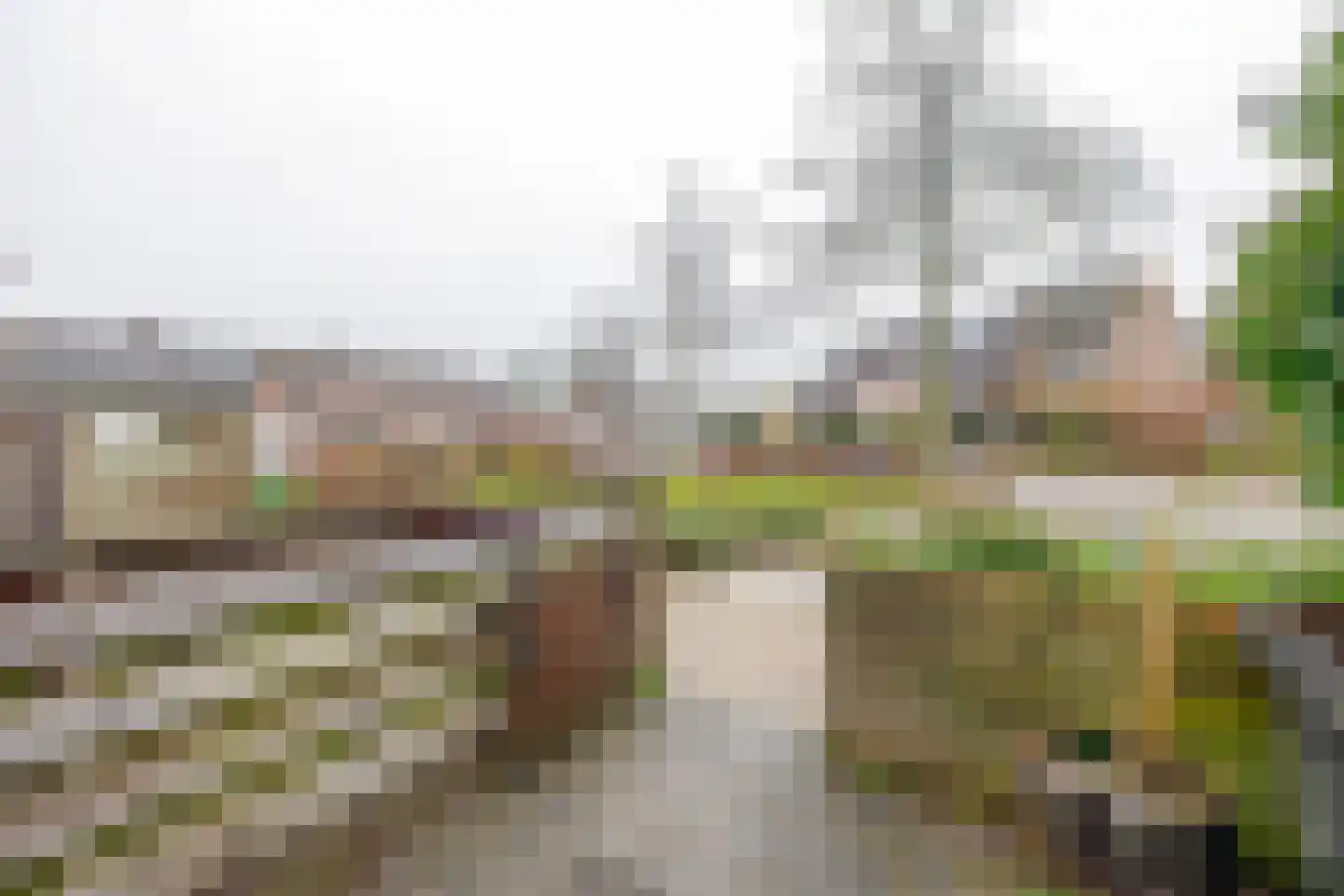 Boekweitveld 10 Assen thumbnail 37