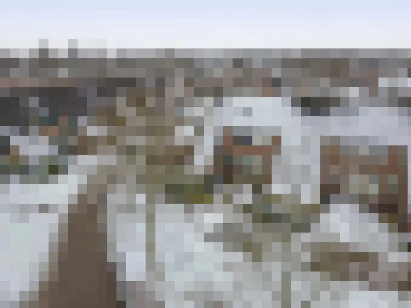 Boekweitveld 10 Assen thumbnail 38